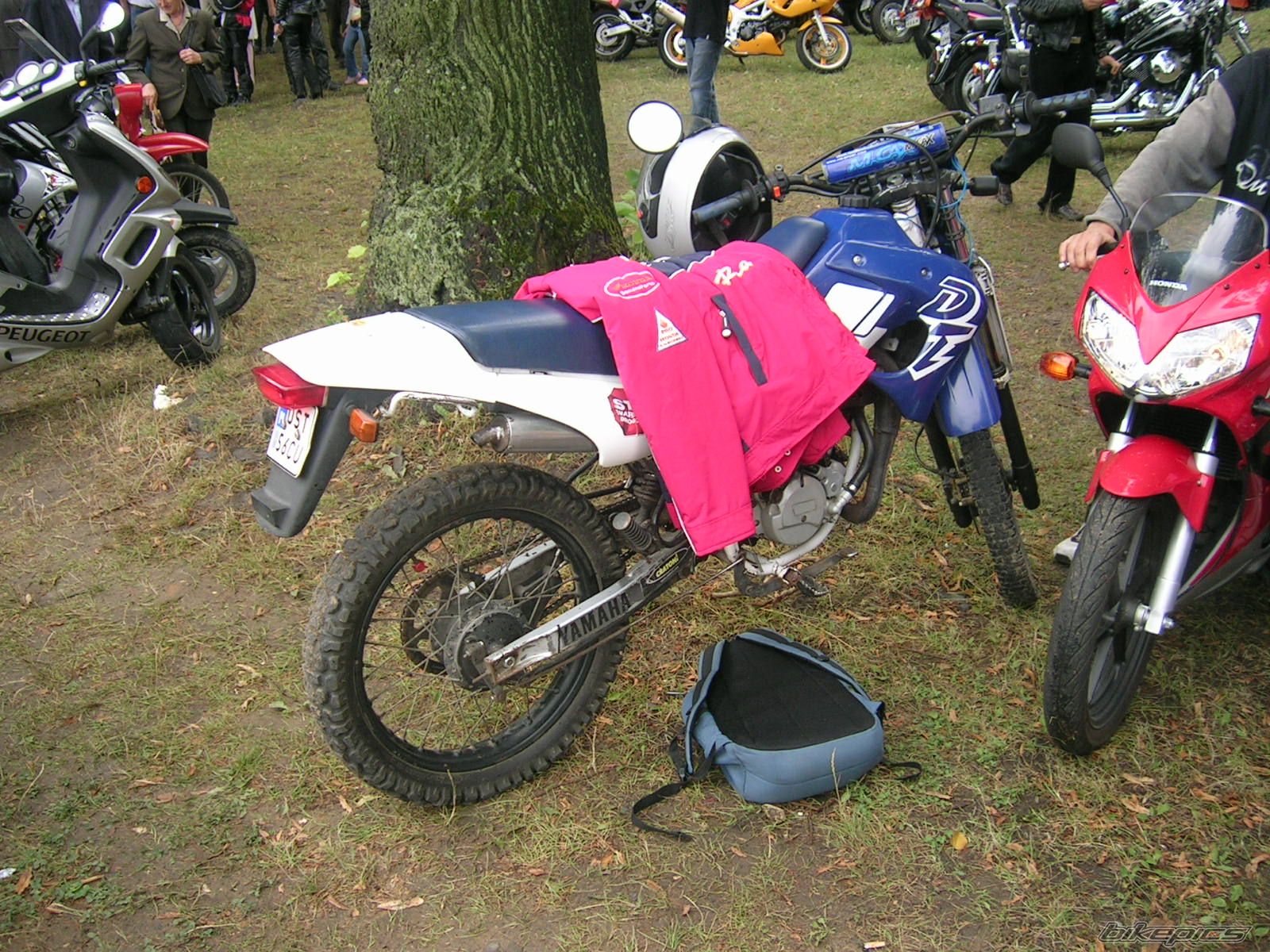 Bike Photo 658948