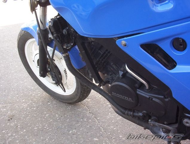 Photo 658968
