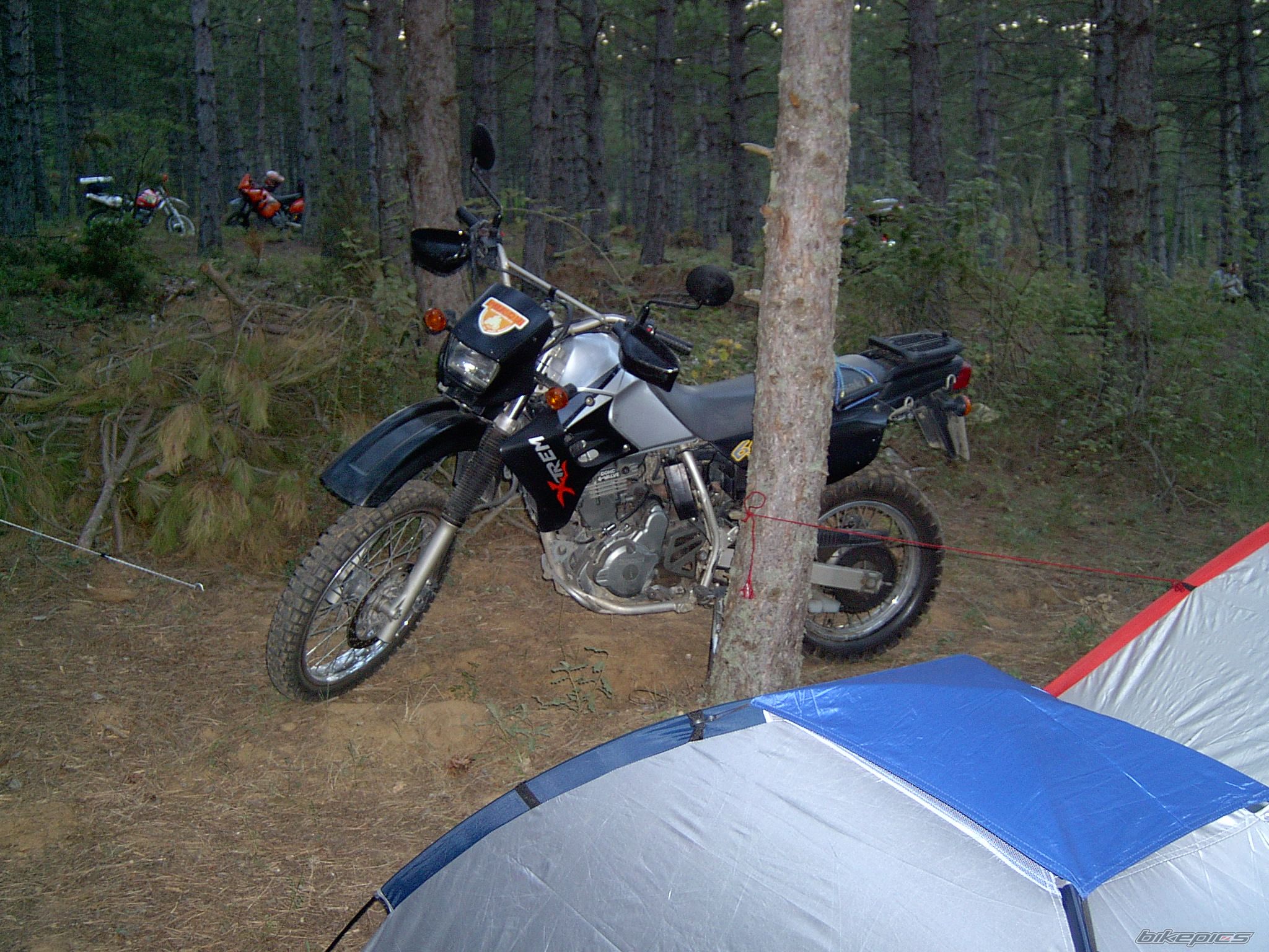 Bike Photo 660531