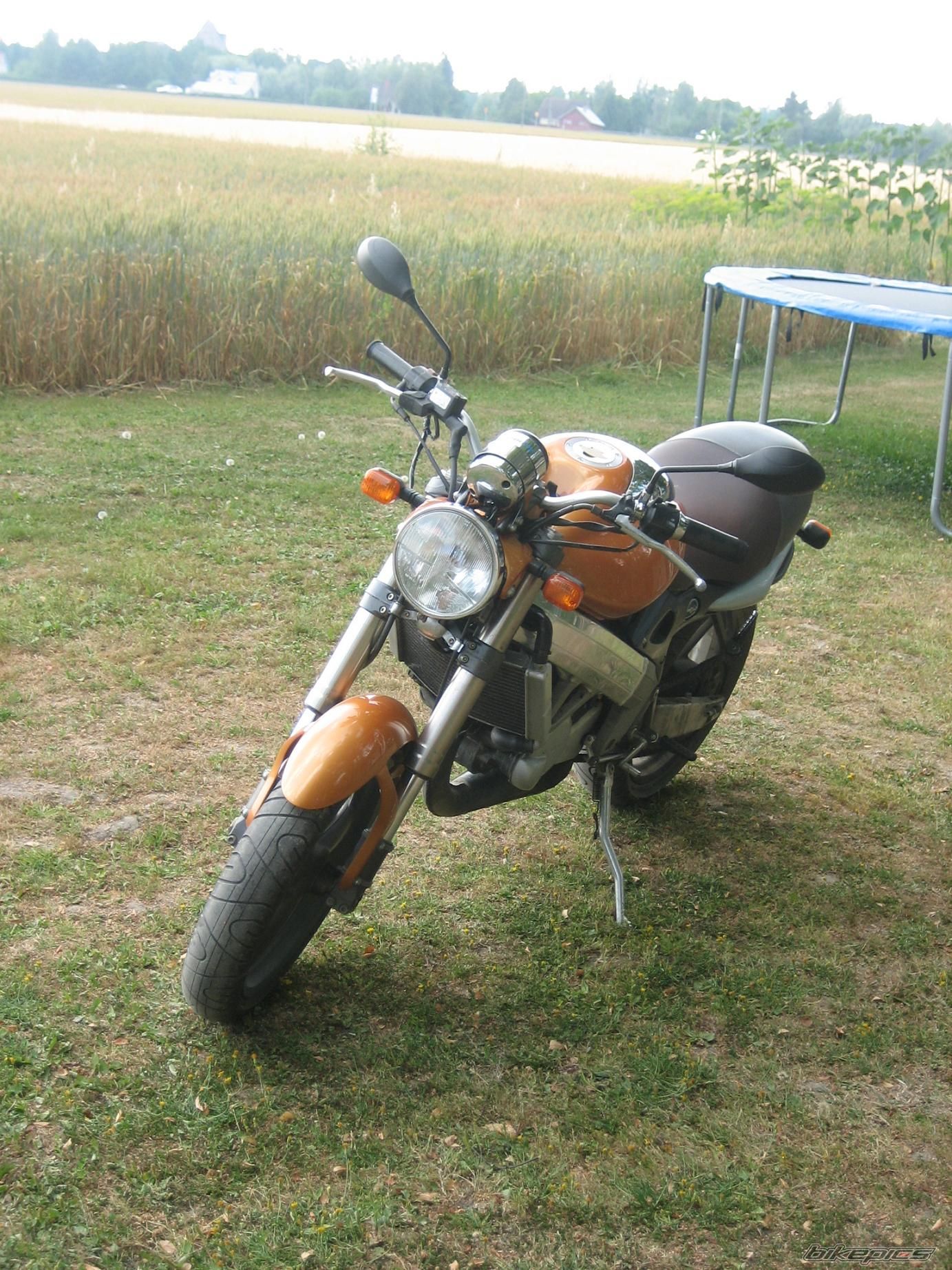 Photo 661337