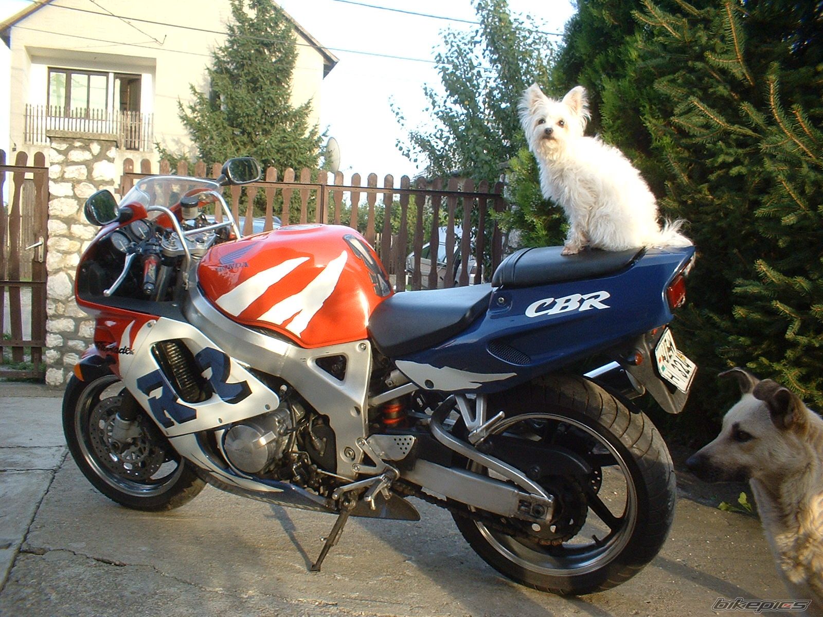 Bike Photo 661381