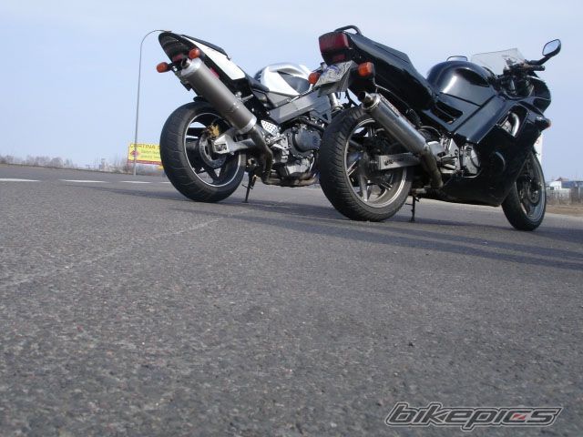 Photo 661471
