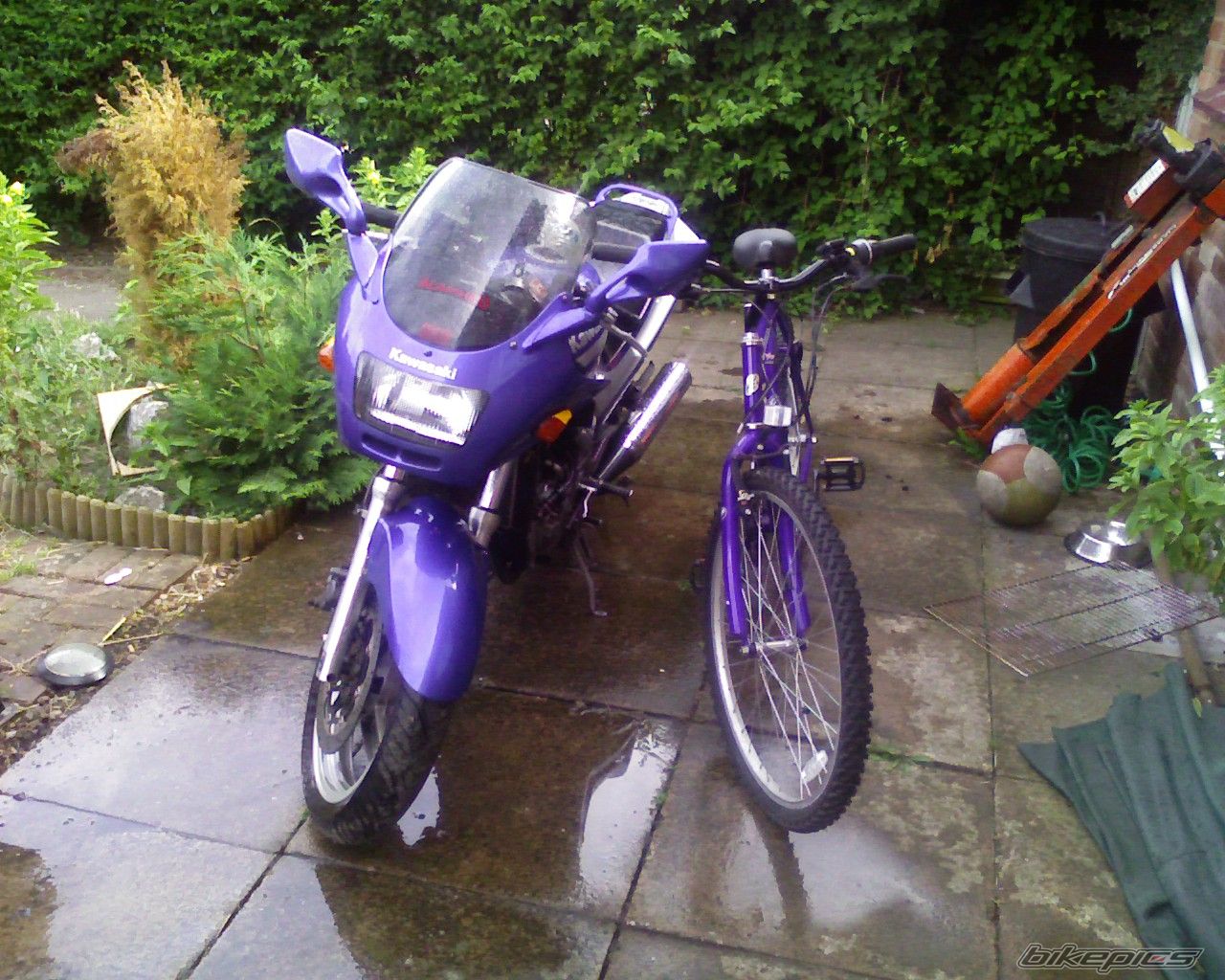 Photo 661682