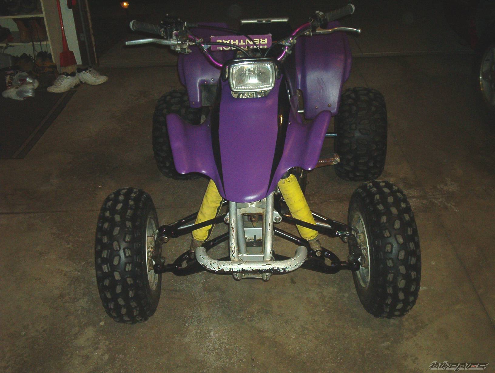 Photo 66171