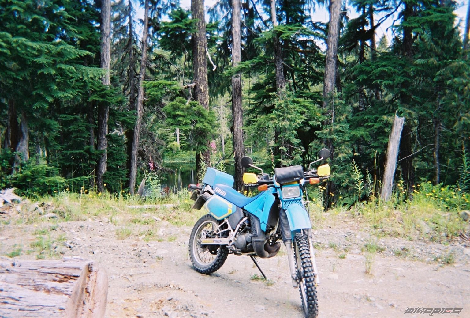 Photo 661881
