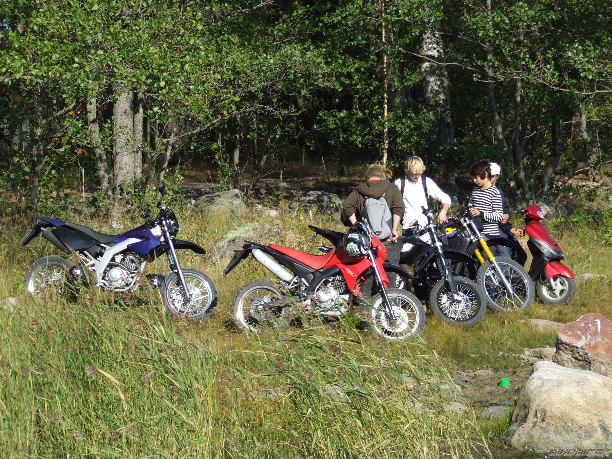 Photo 662079