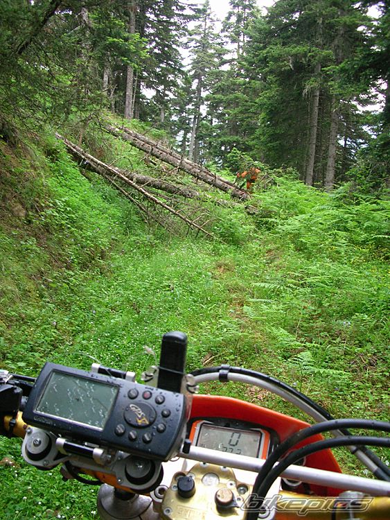 Bike Photo 662286