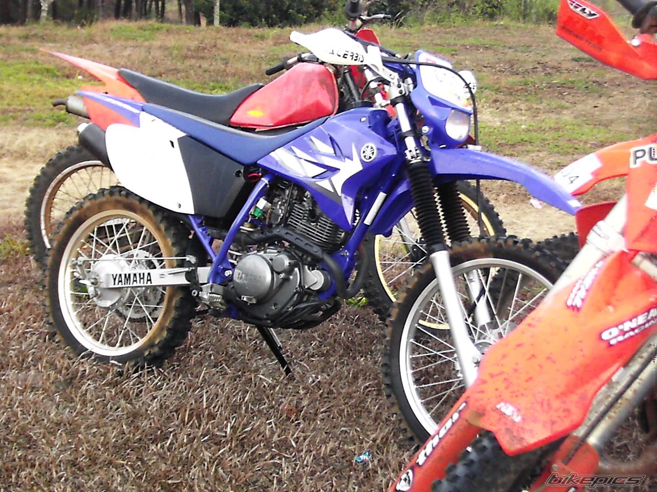 Photo 662461