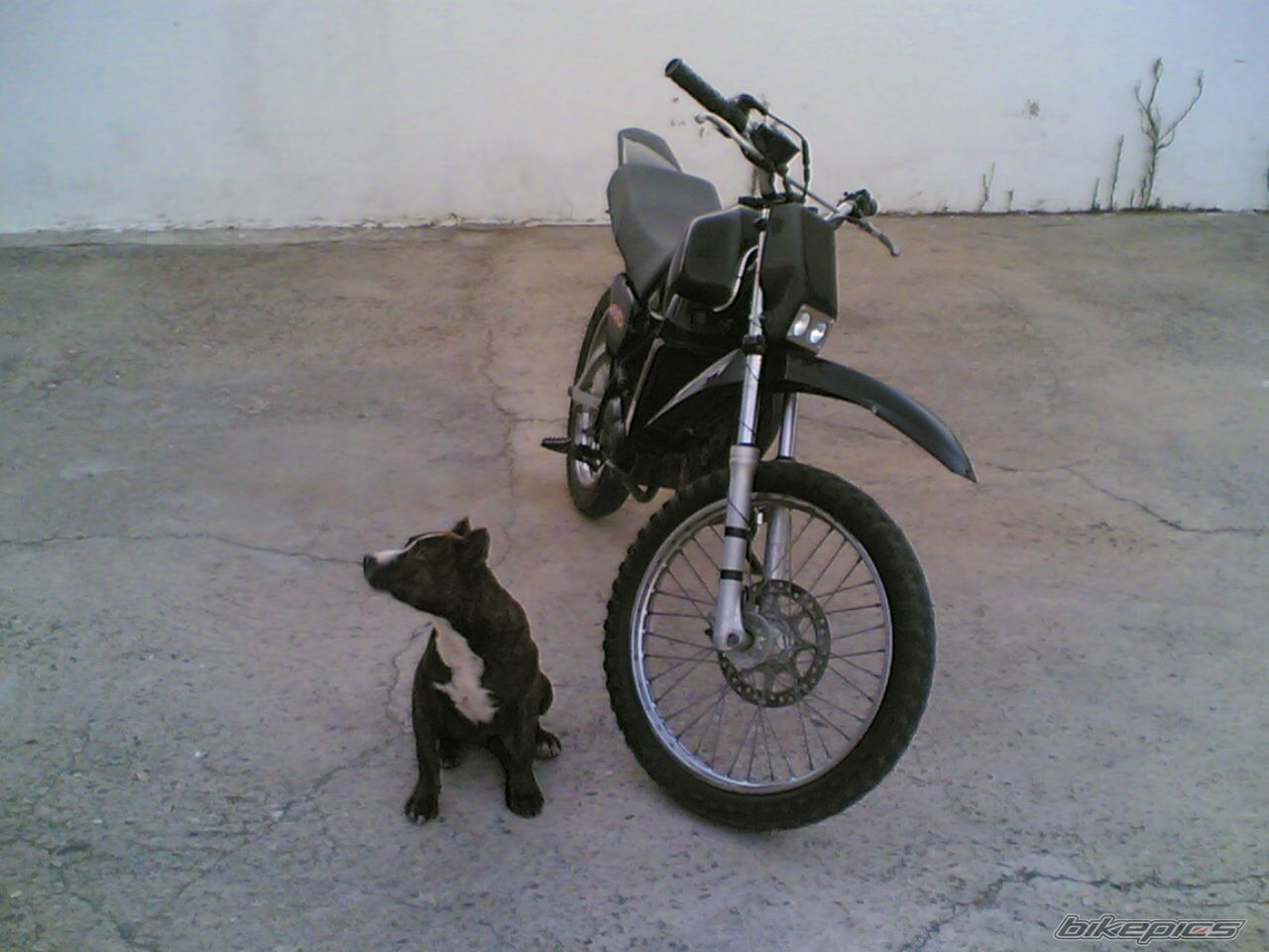 Photo 662557
