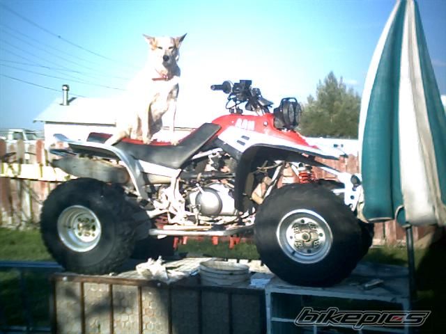 Photo 662724