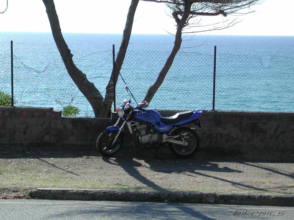 Photo 66274