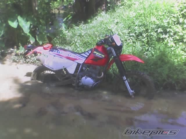 Photo 662791