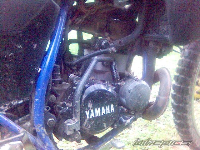Photo 663127