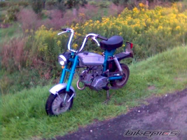Photo 663132