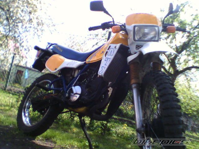 Photo 663182