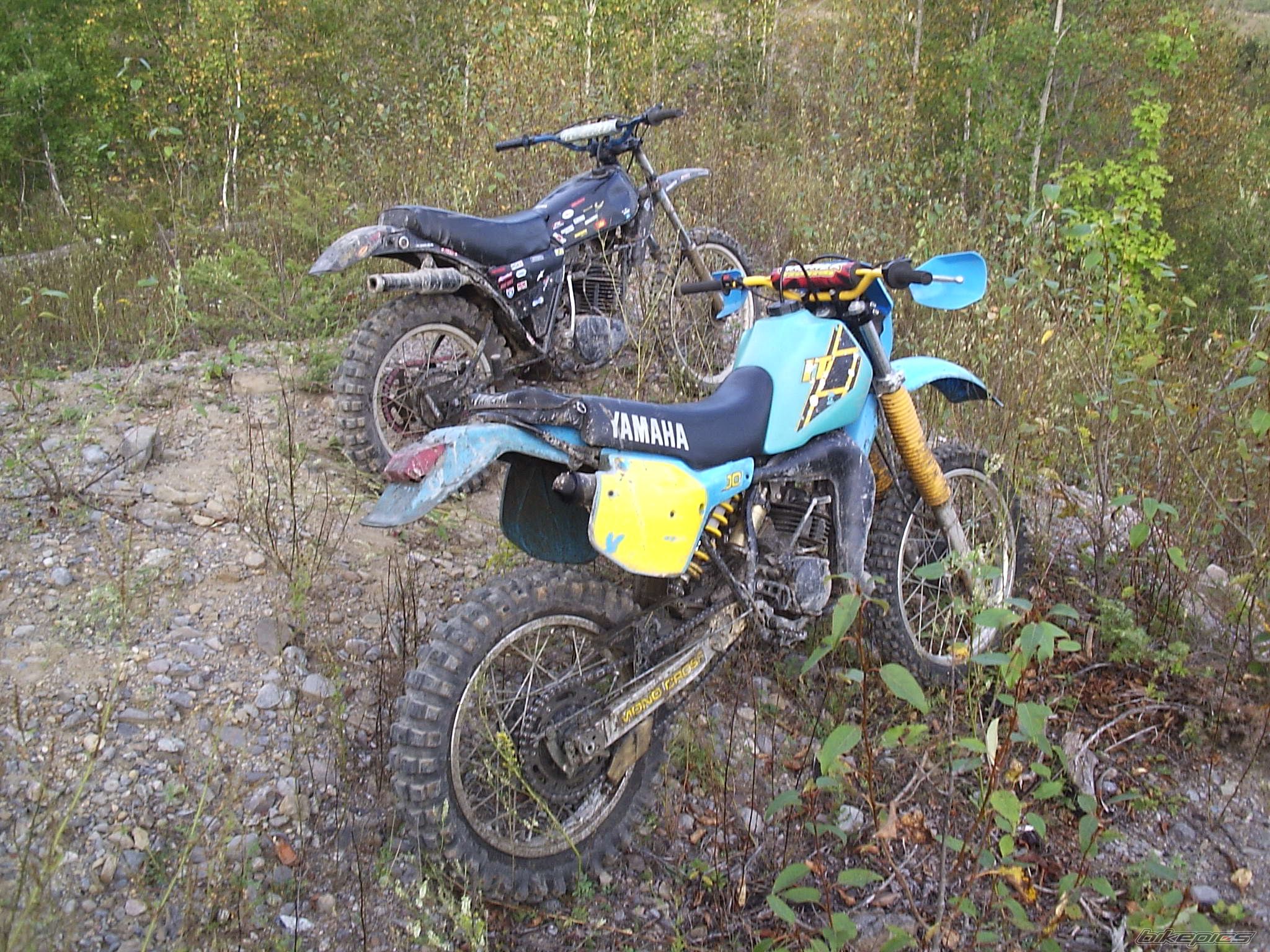 Photo 663290