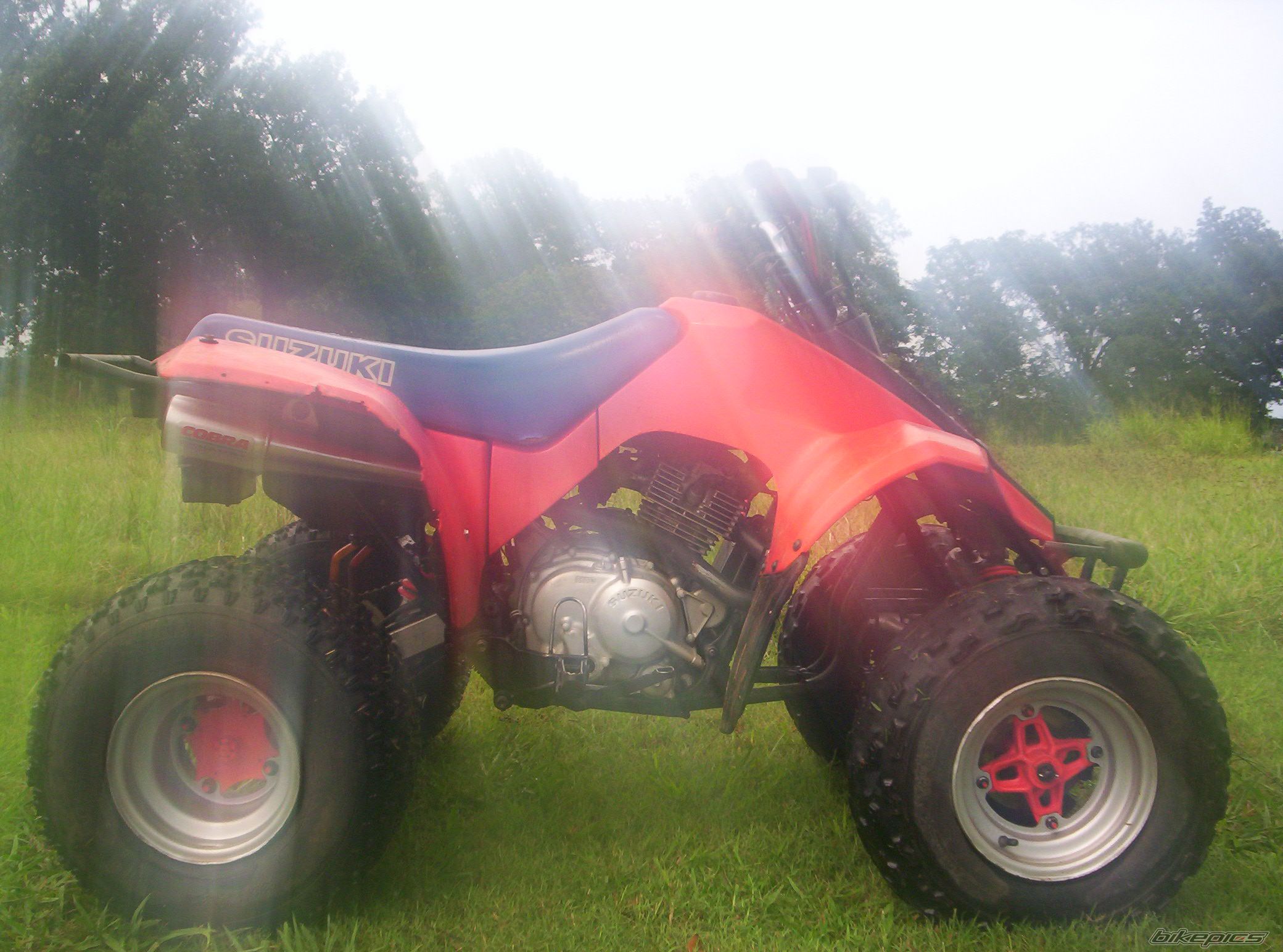 Photo 663319