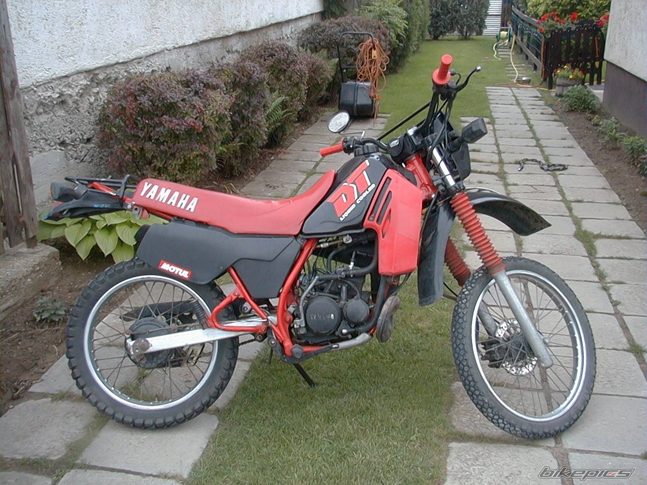 Photo 66343