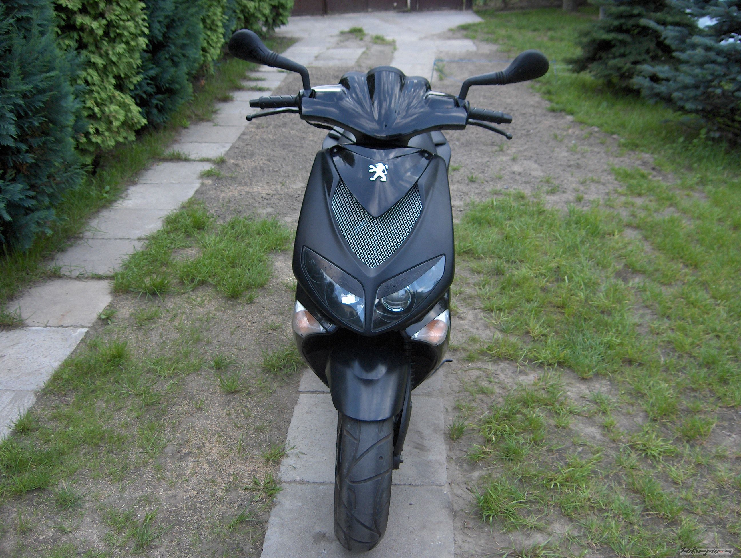 Photo 663486