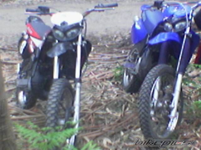 Photo 663689