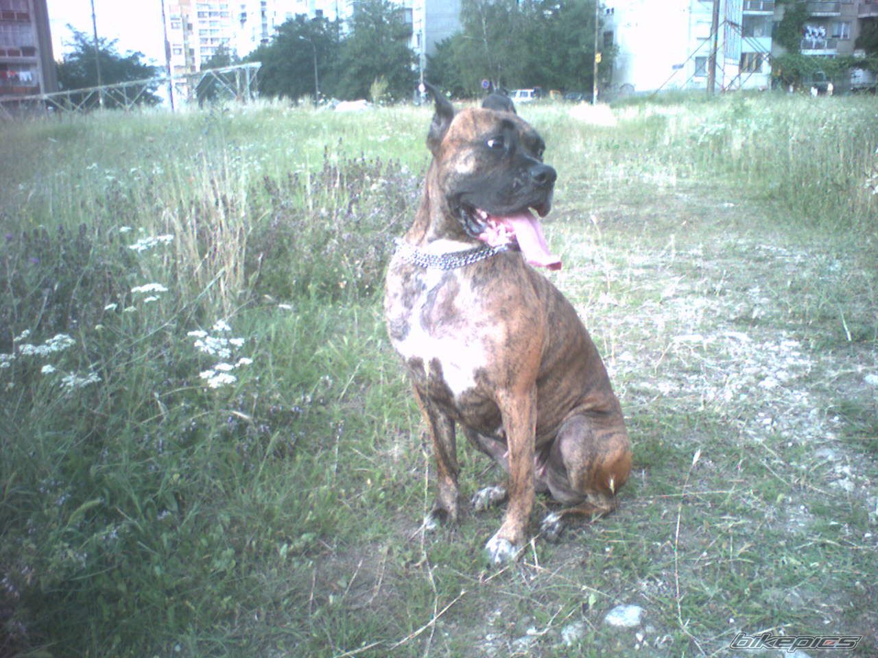 Photo 664165