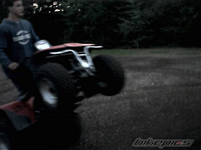 Photo 66438