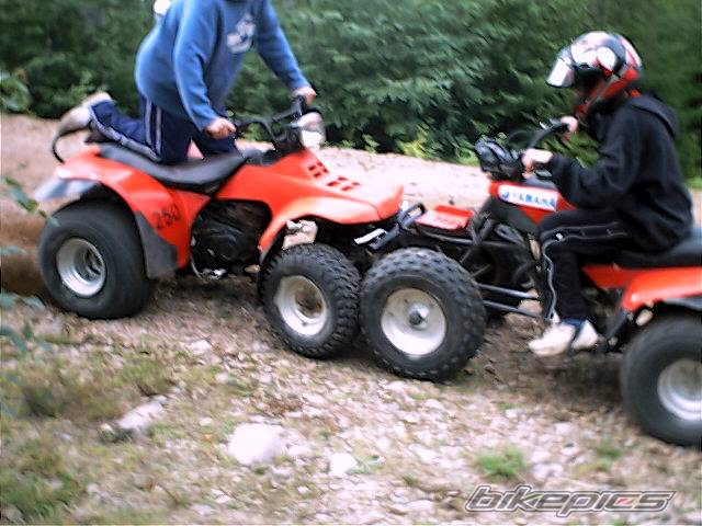 Photo 66440