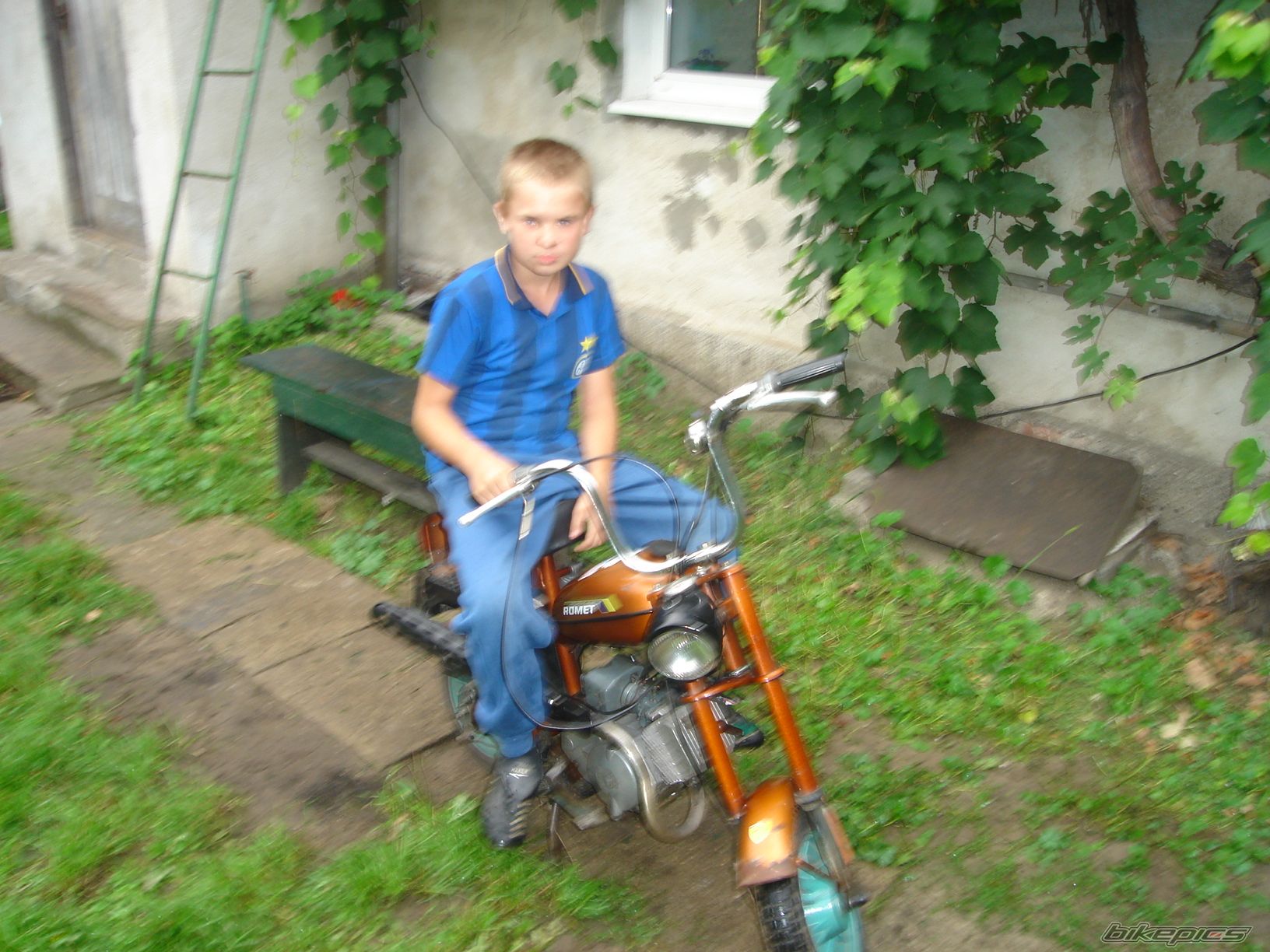 Photo 664465