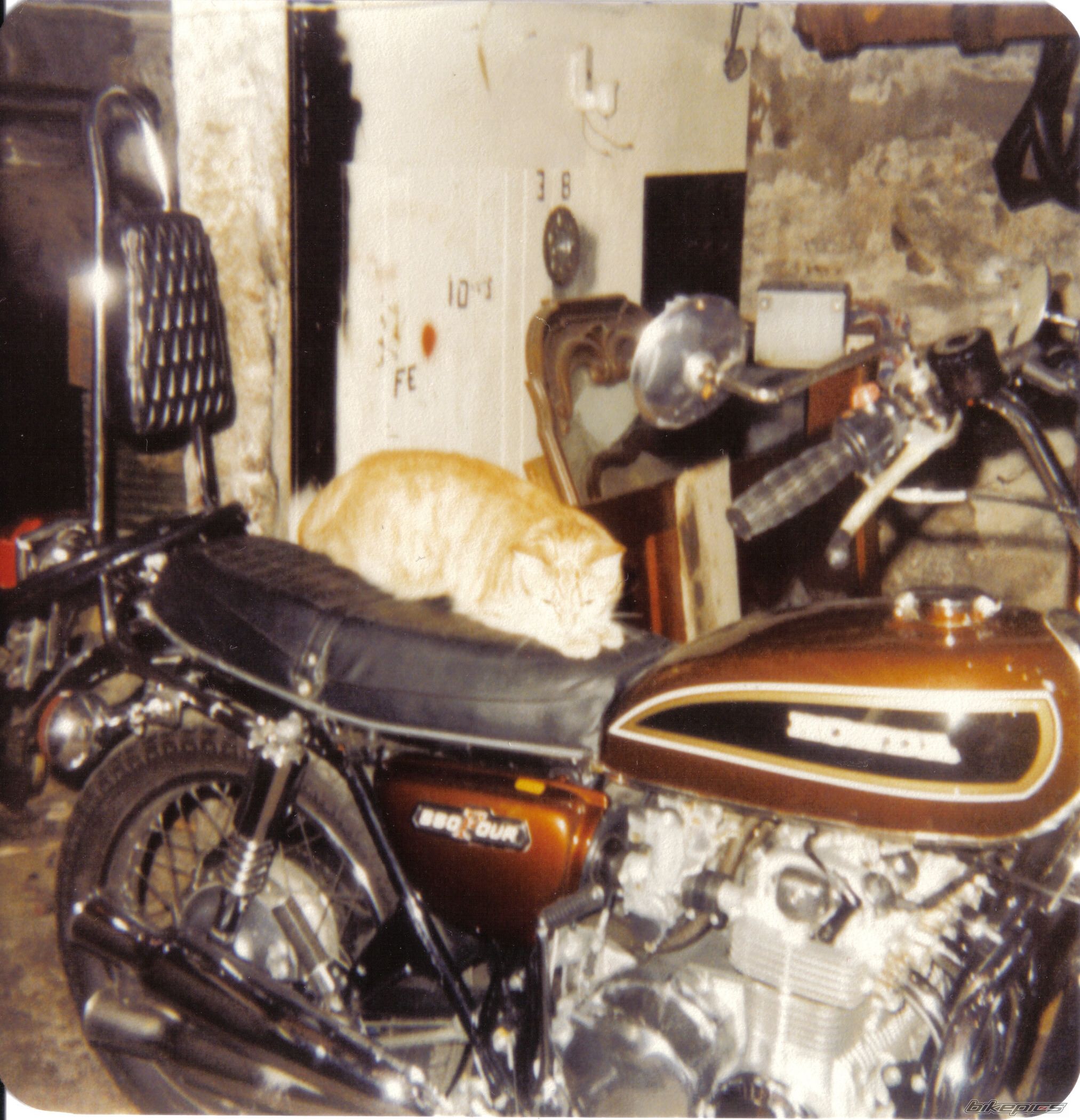 Bike Photo 664624