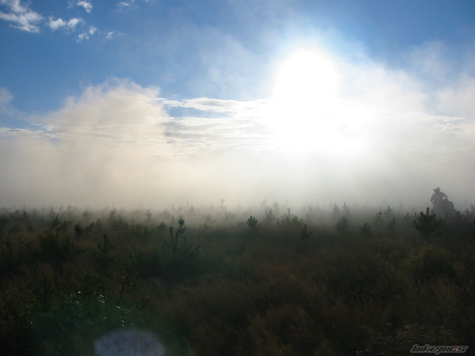 Photo 664738