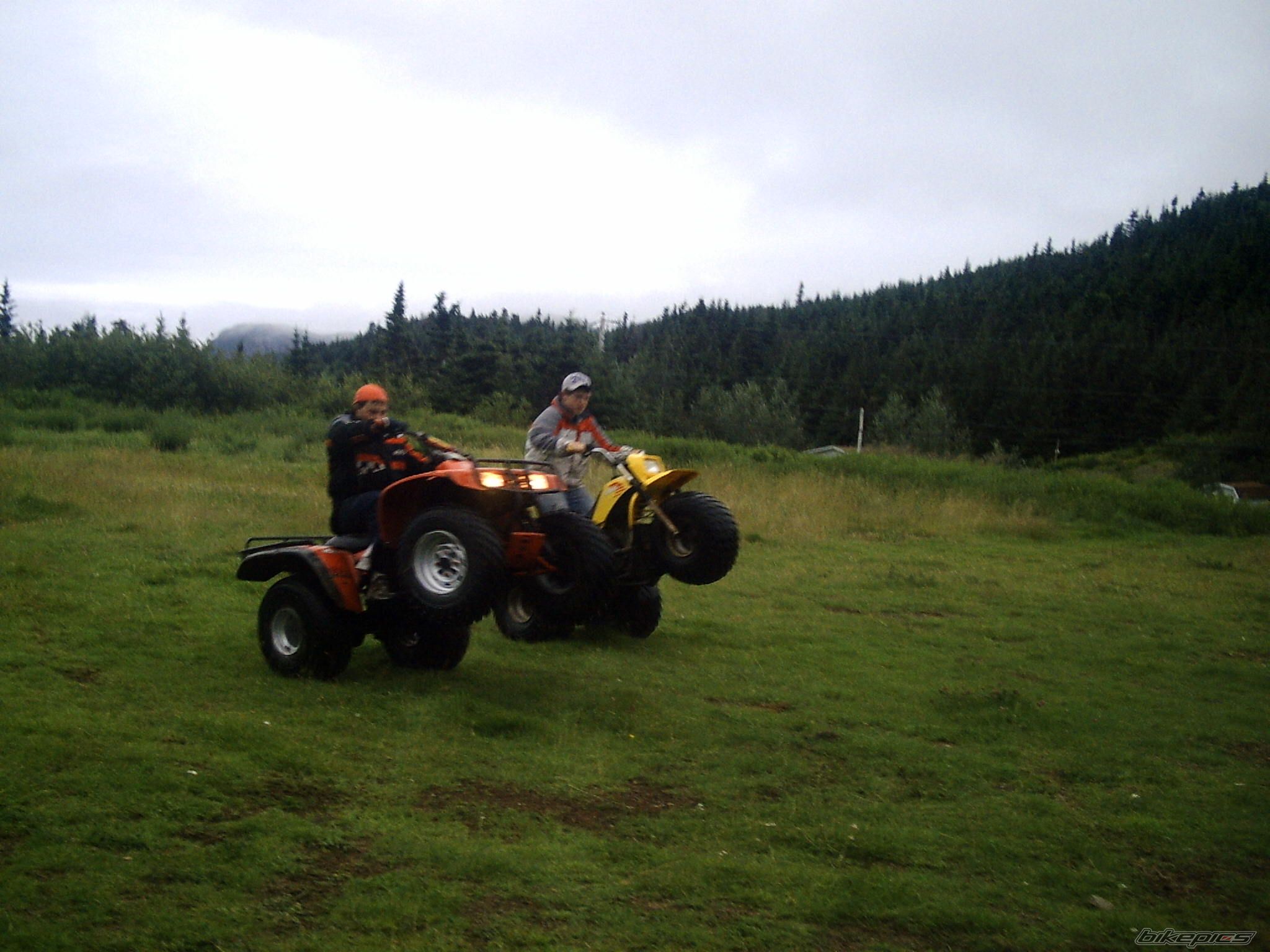 Photo 664857