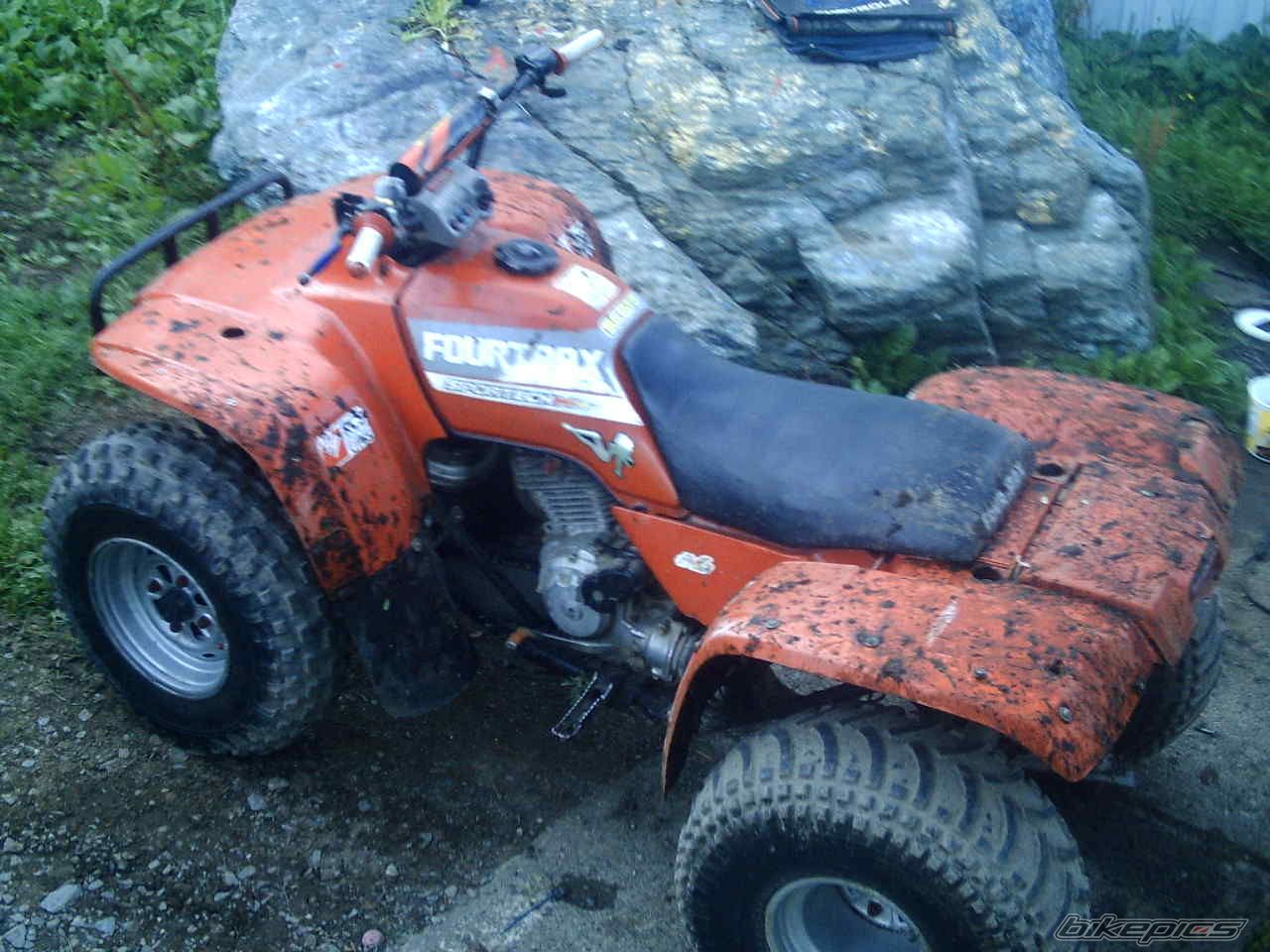 Photo 664864