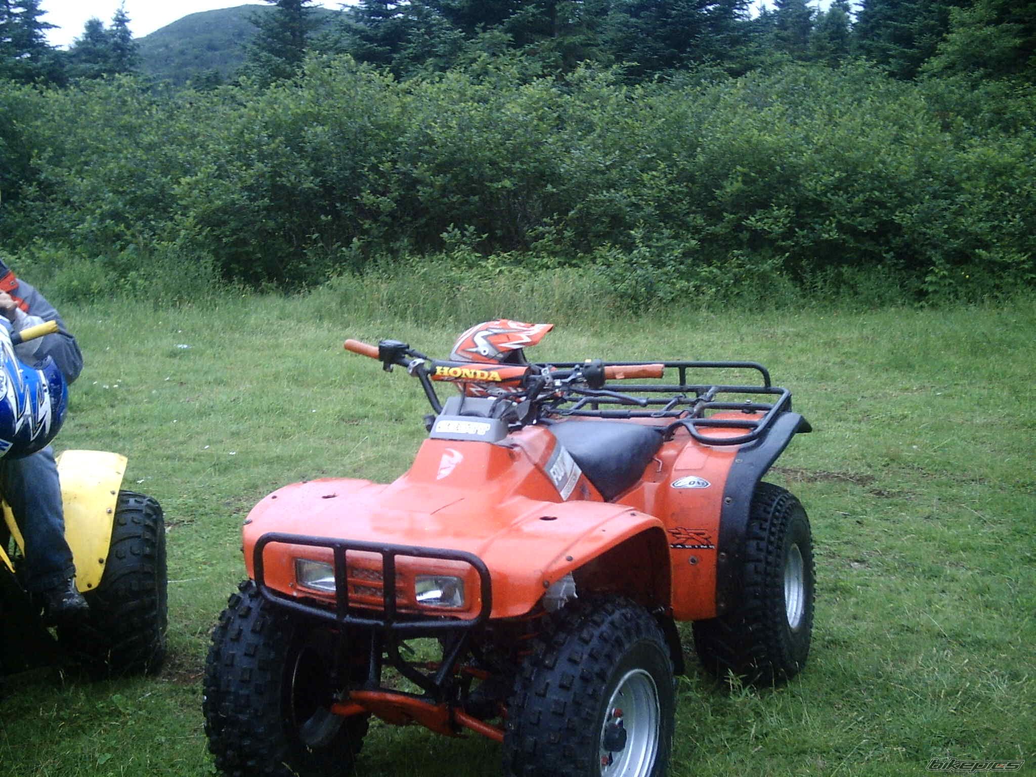 Photo 664871