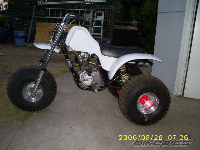Photo 665262