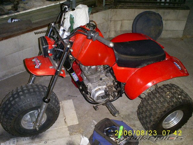 Photo 665264