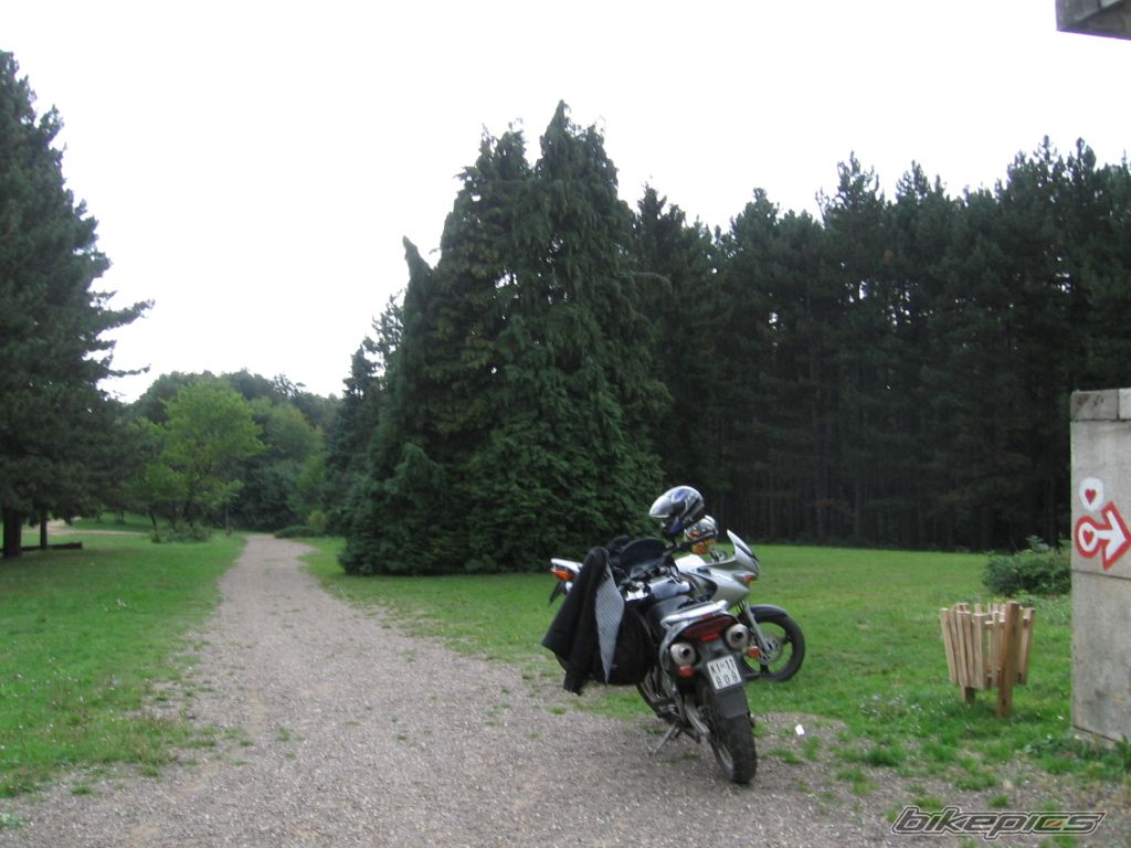 Photo 665279