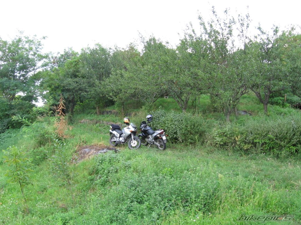 Photo 665283