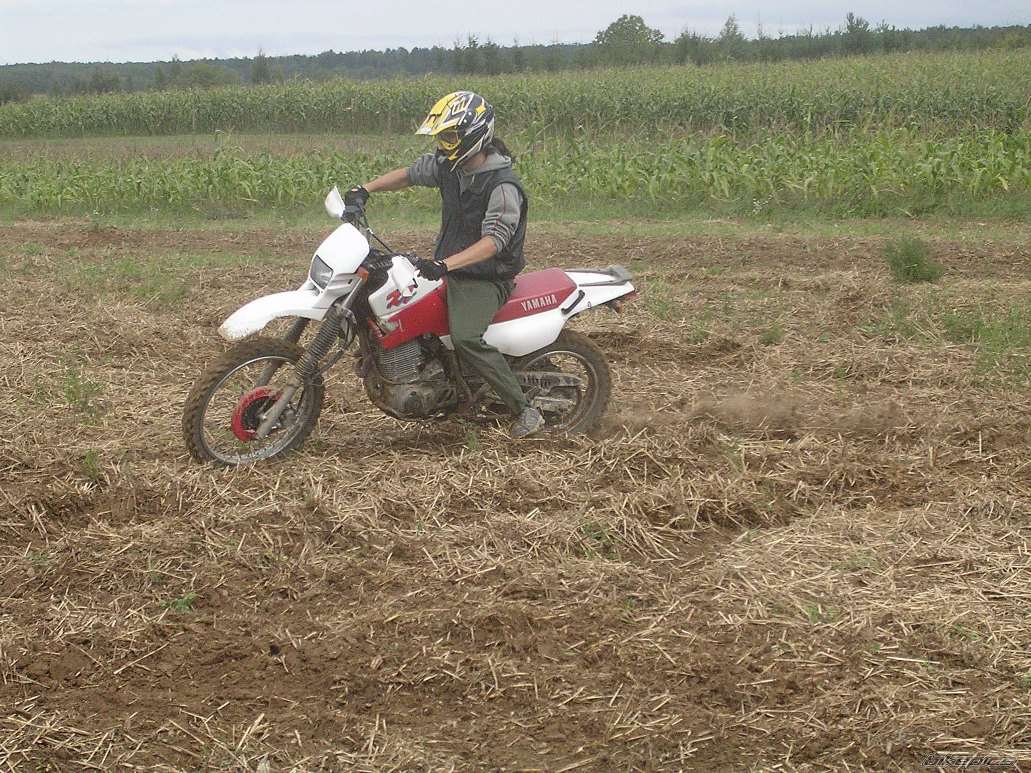 Photo 666039