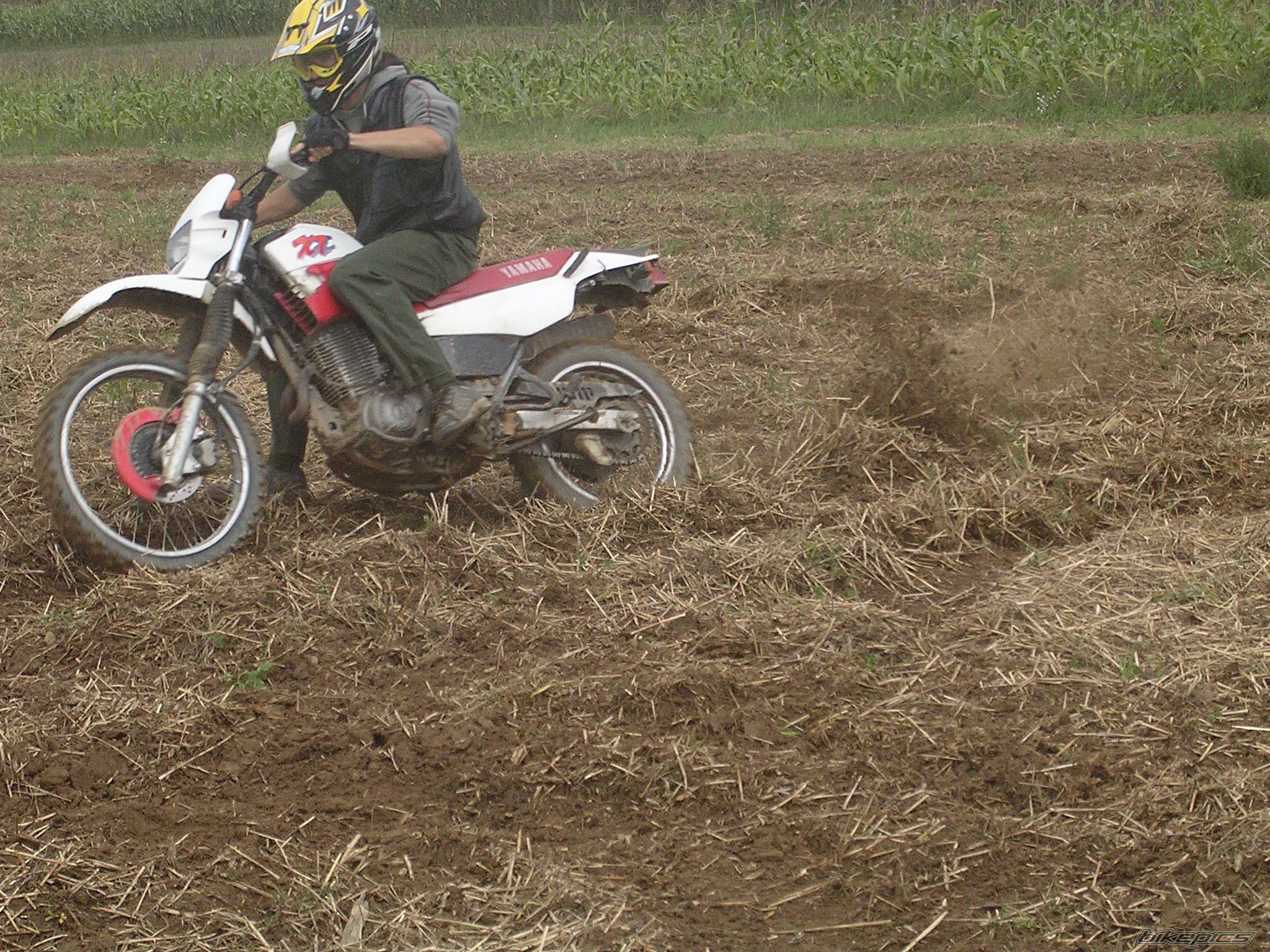 Photo 666067