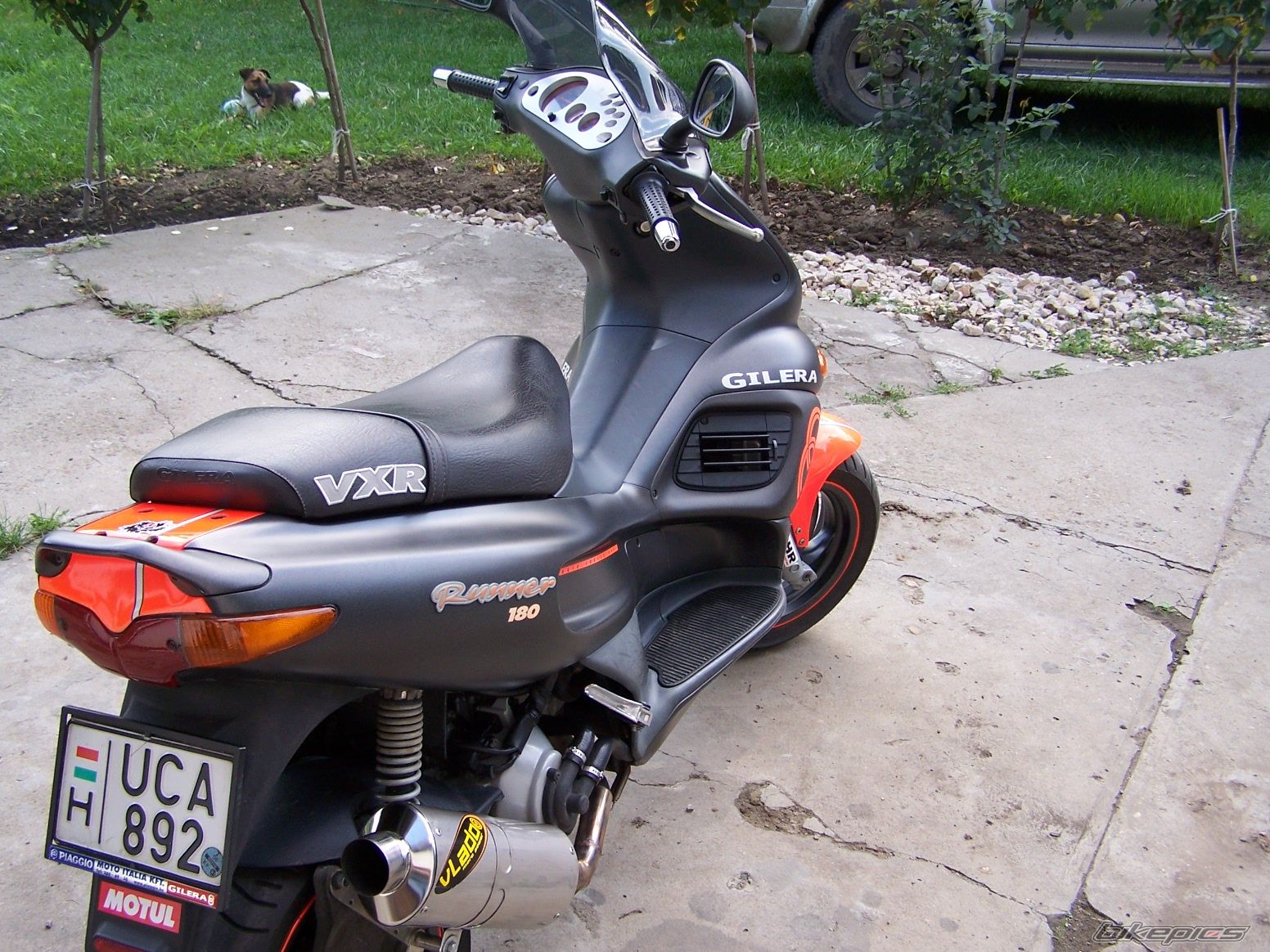 Photo 666099