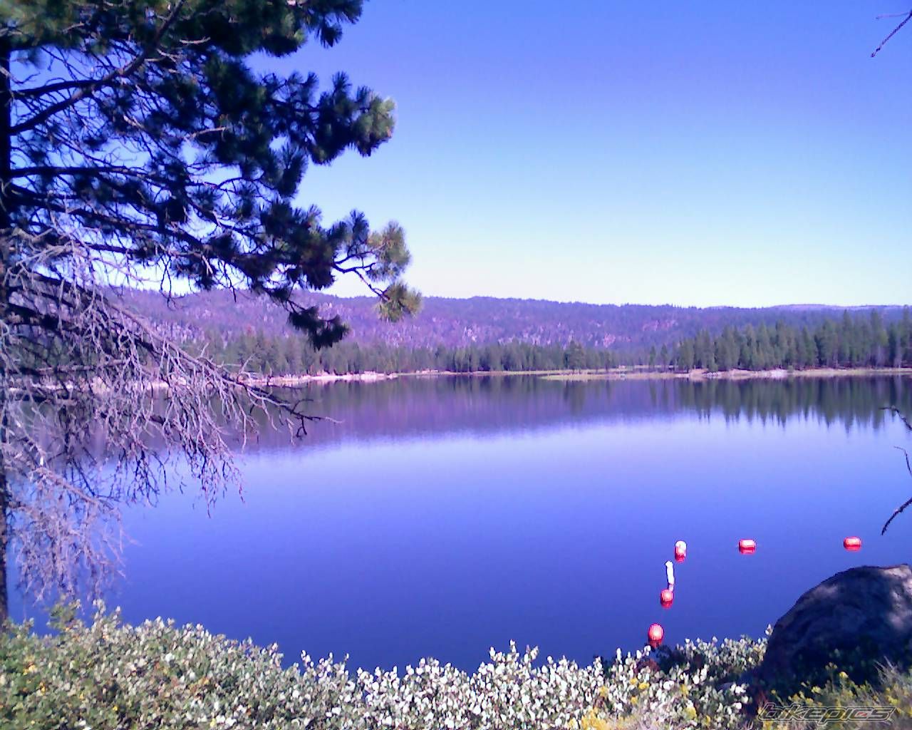 Photo 666218