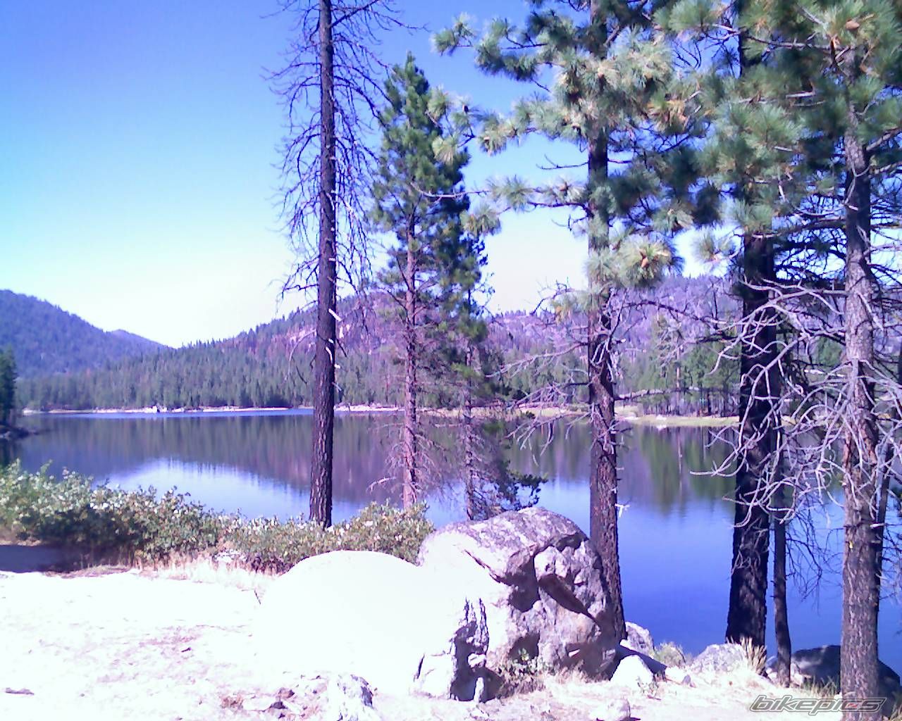 Photo 666219