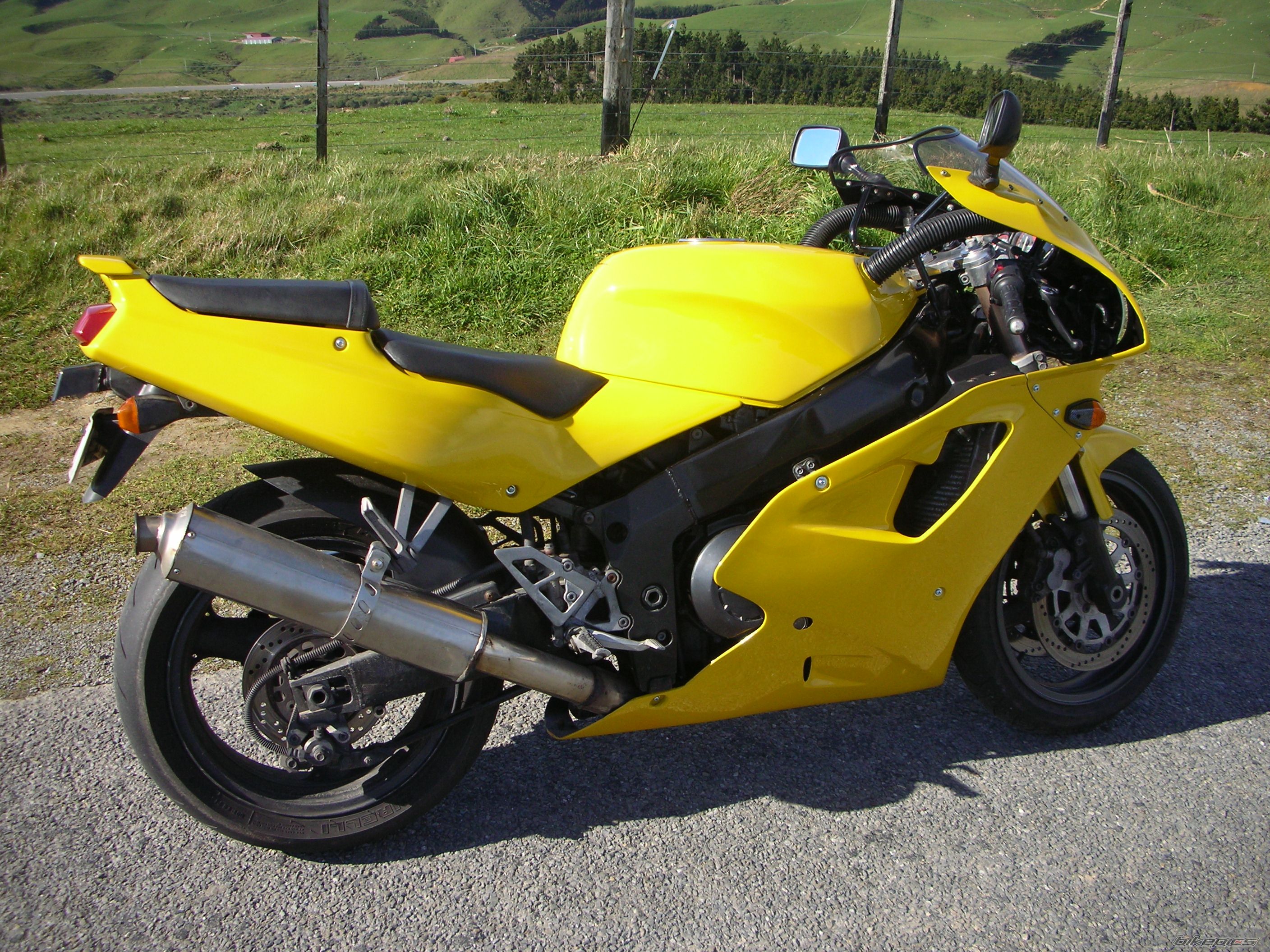 Photo 666483