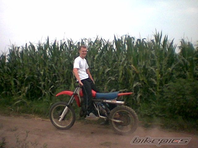 Photo 666639