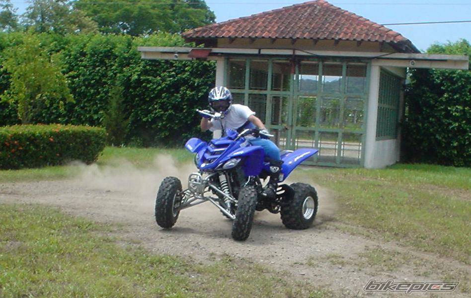 Photo 66665