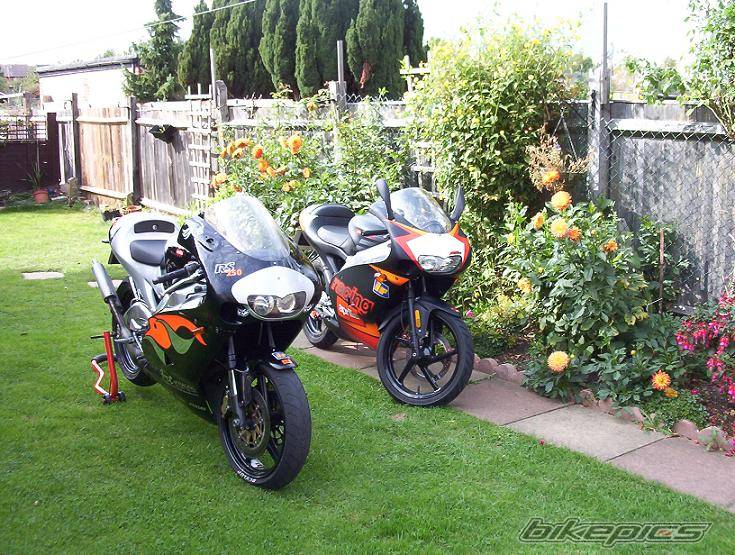 Bike Photo 66673