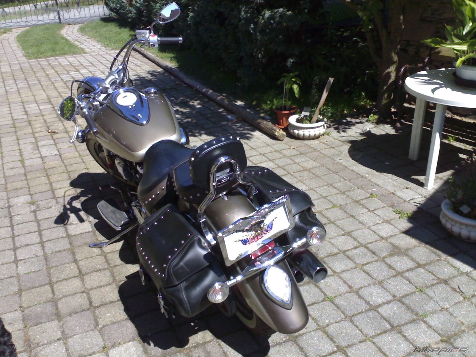 Photo 666774