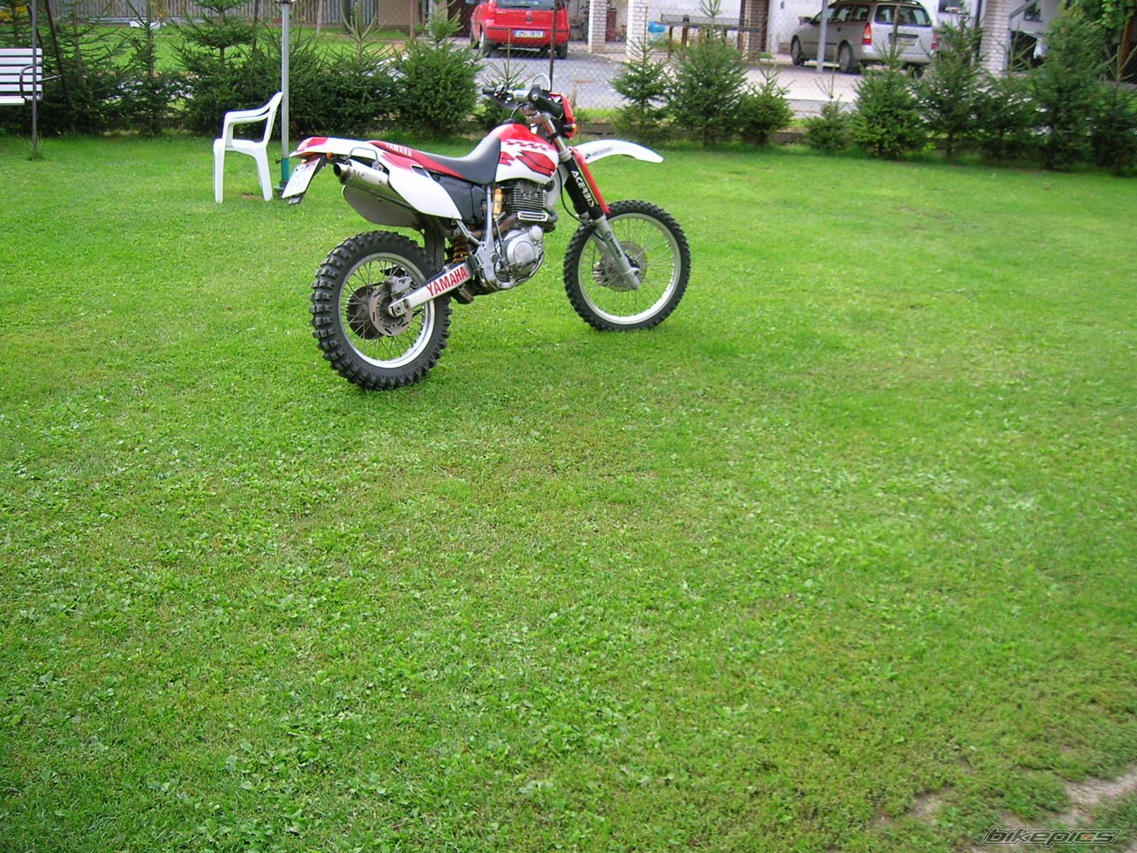 Photo 666793