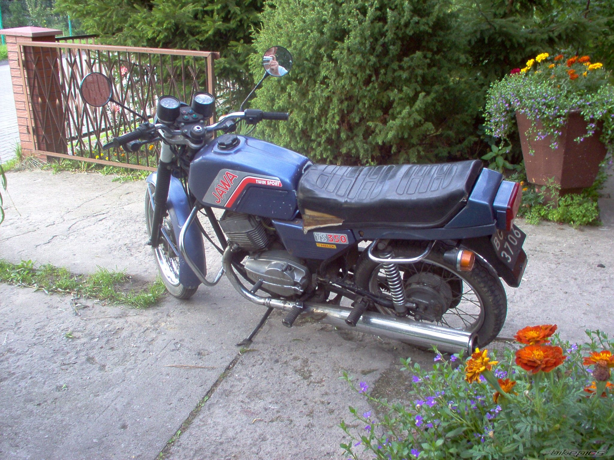 Photo 666878