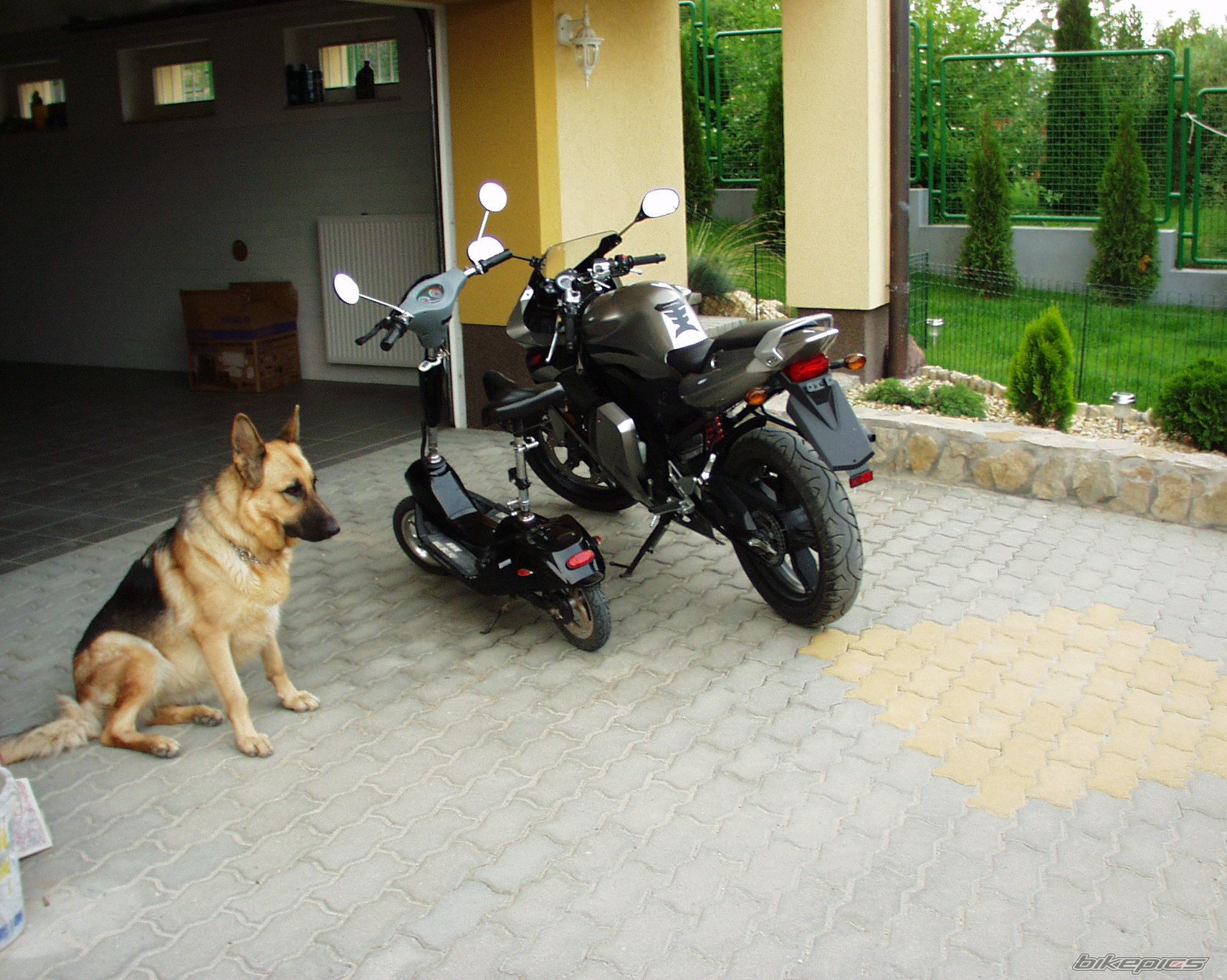 Photo 666884